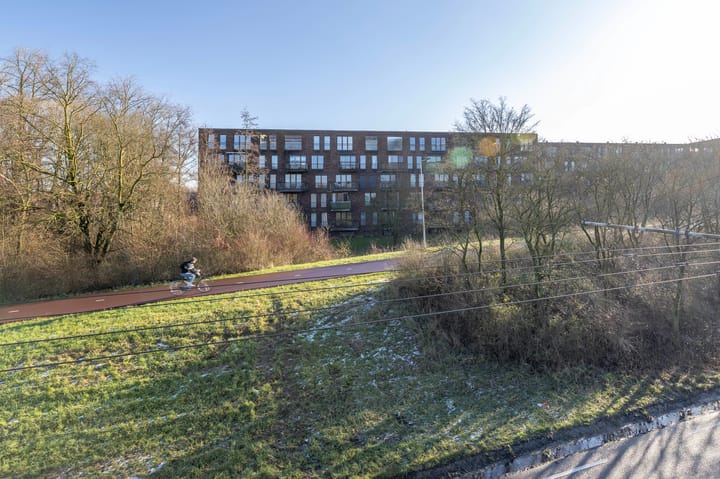 Foto 40 van Nachtschade 72