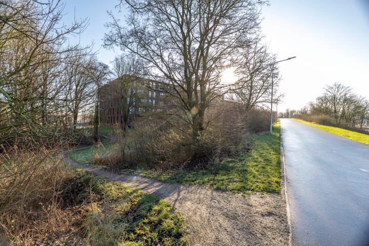 Foto 41 van Nachtschade 72