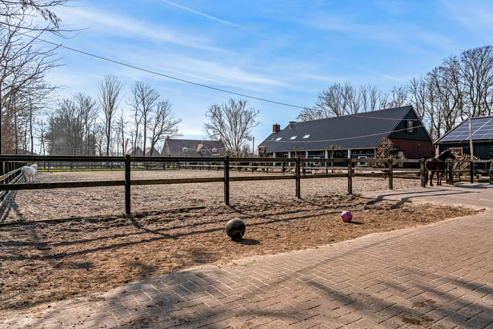 Photo 78 of Domineesweg 24