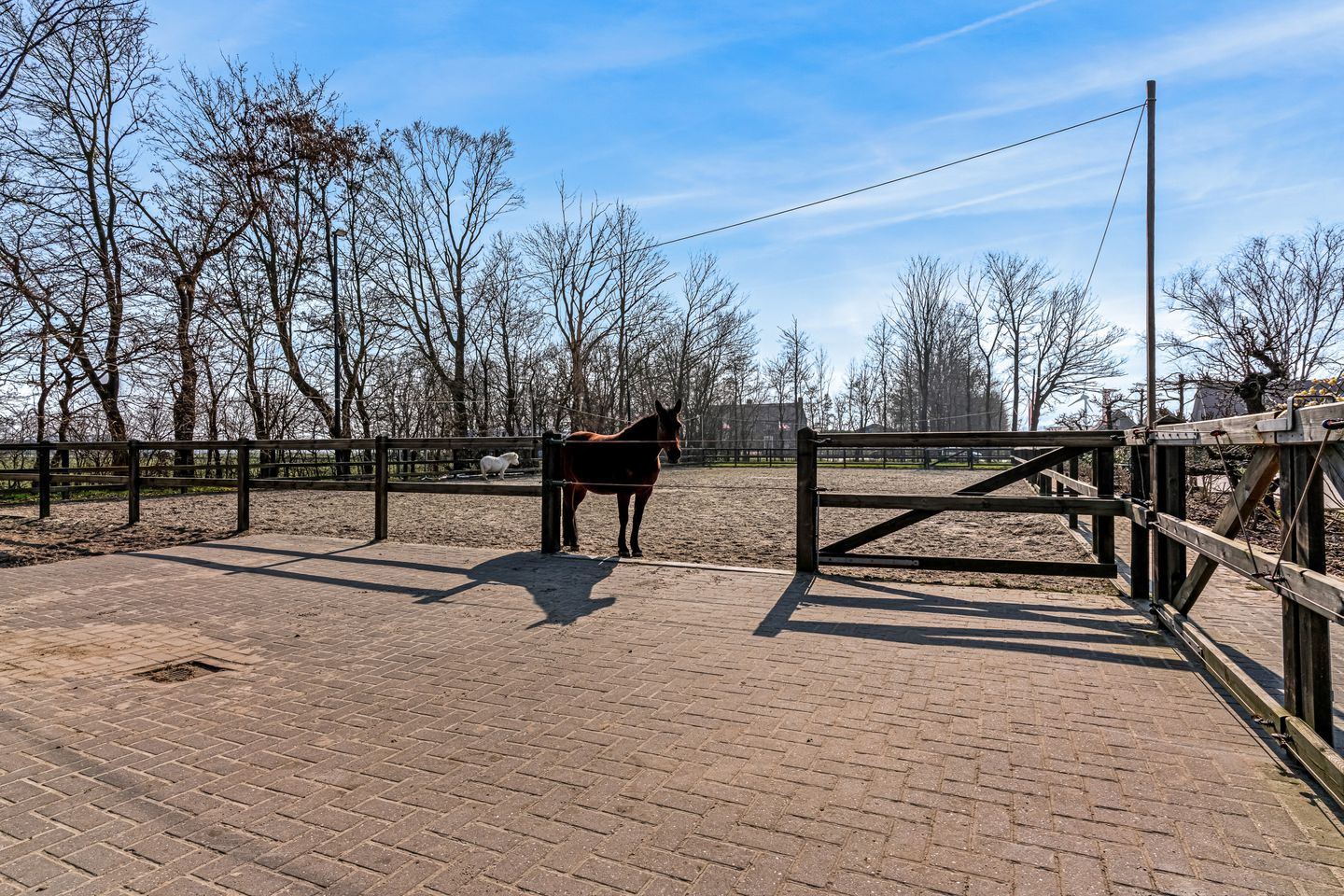 Photo 79 of Domineesweg 24