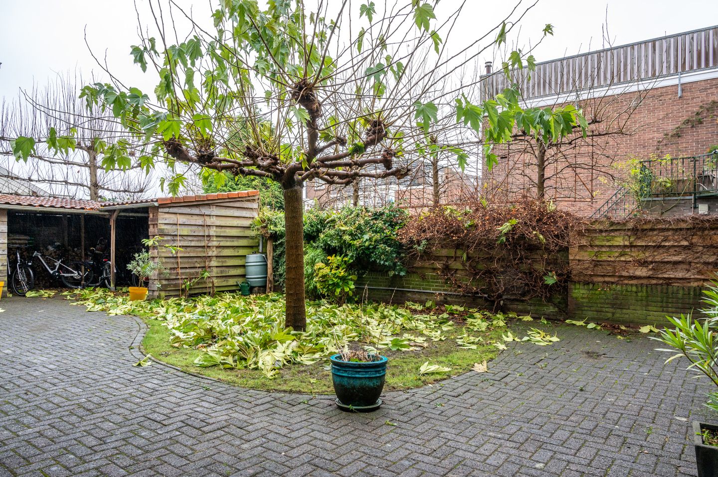 Foto 20 van Tooropstraat 166