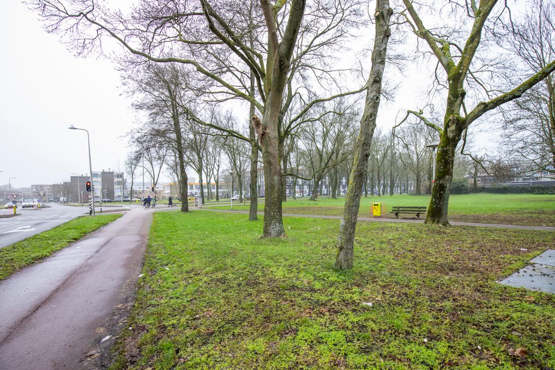 Photo 32 of Humberdreef 66