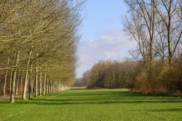 Foto 13 van Erik de Rodestraat 75