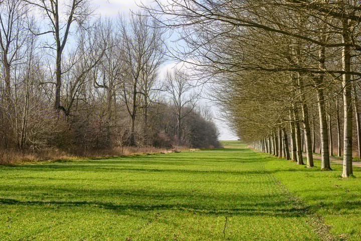 Foto 14 van Erik de Rodestraat 75