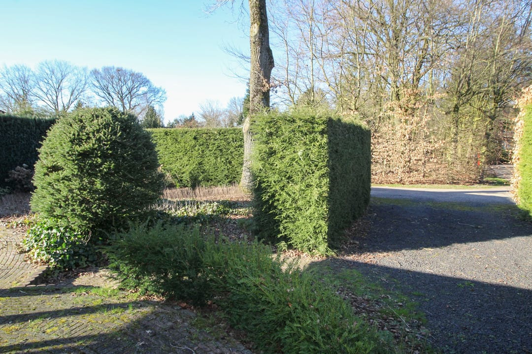 Foto 31 van Zevenbergjesweg 27-F29