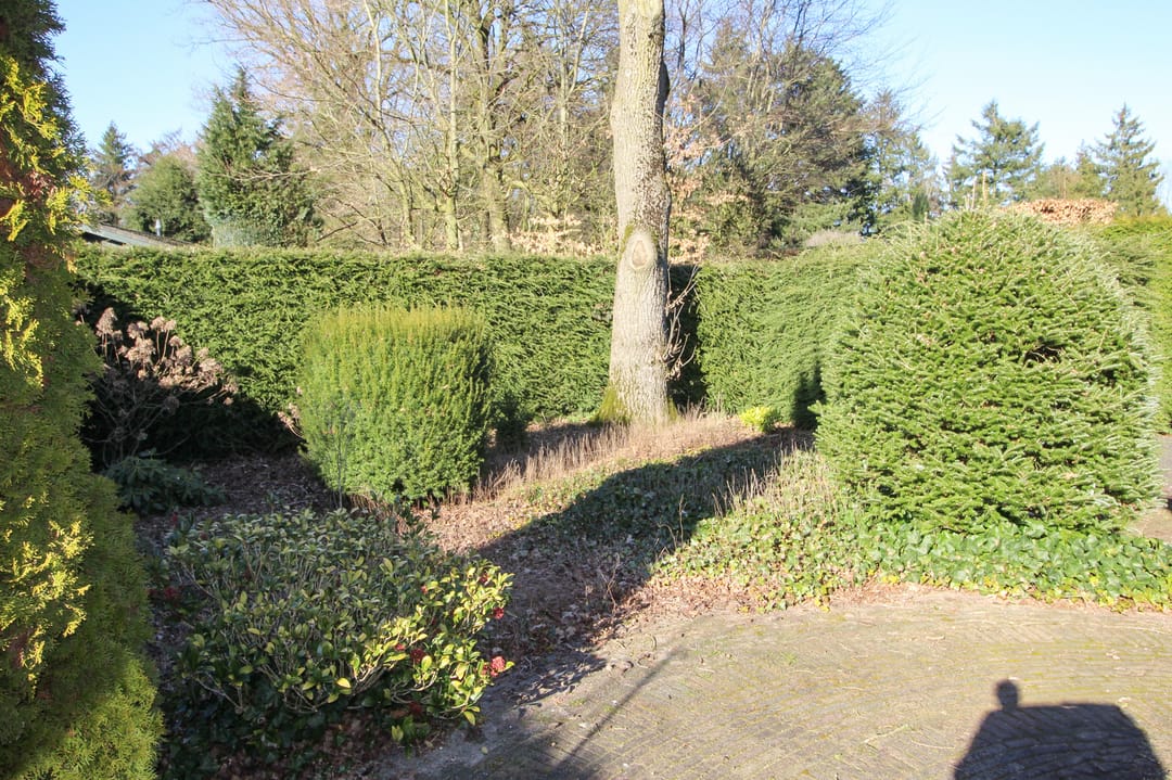 Foto 32 van Zevenbergjesweg 27-F29