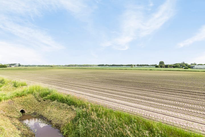 Foto 49 van Schipperstraat 293