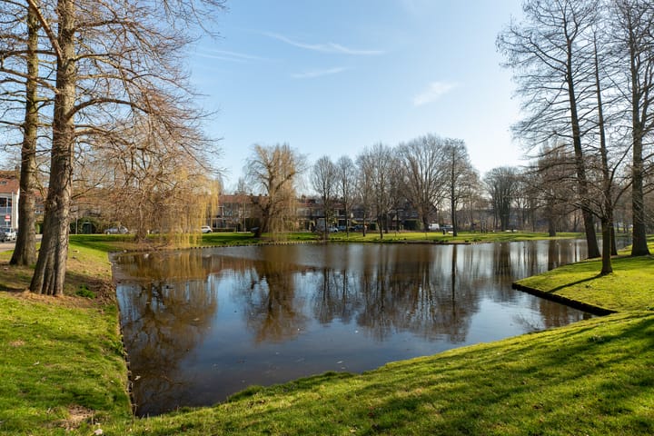 Foto 37 van Prins Mauritssingel 80-B