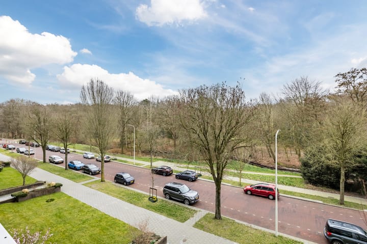 Photo 8 of Ruychrocklaan 384