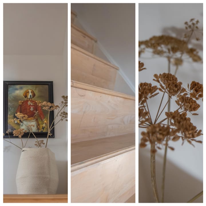 Foto 40 van Prinses Irenestraat 8