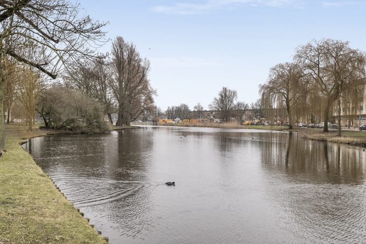 Foto 35 van Schapendreef 453