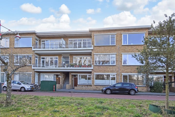 Foto 1 van Carel Reinierszkade 155