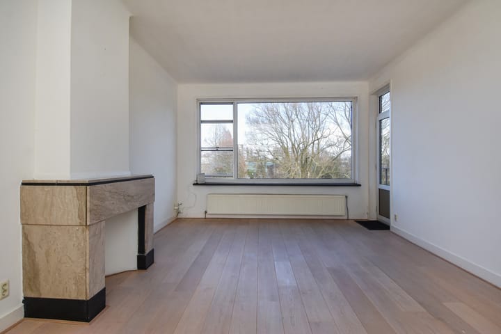 Foto 8 van Carel Reinierszkade 155