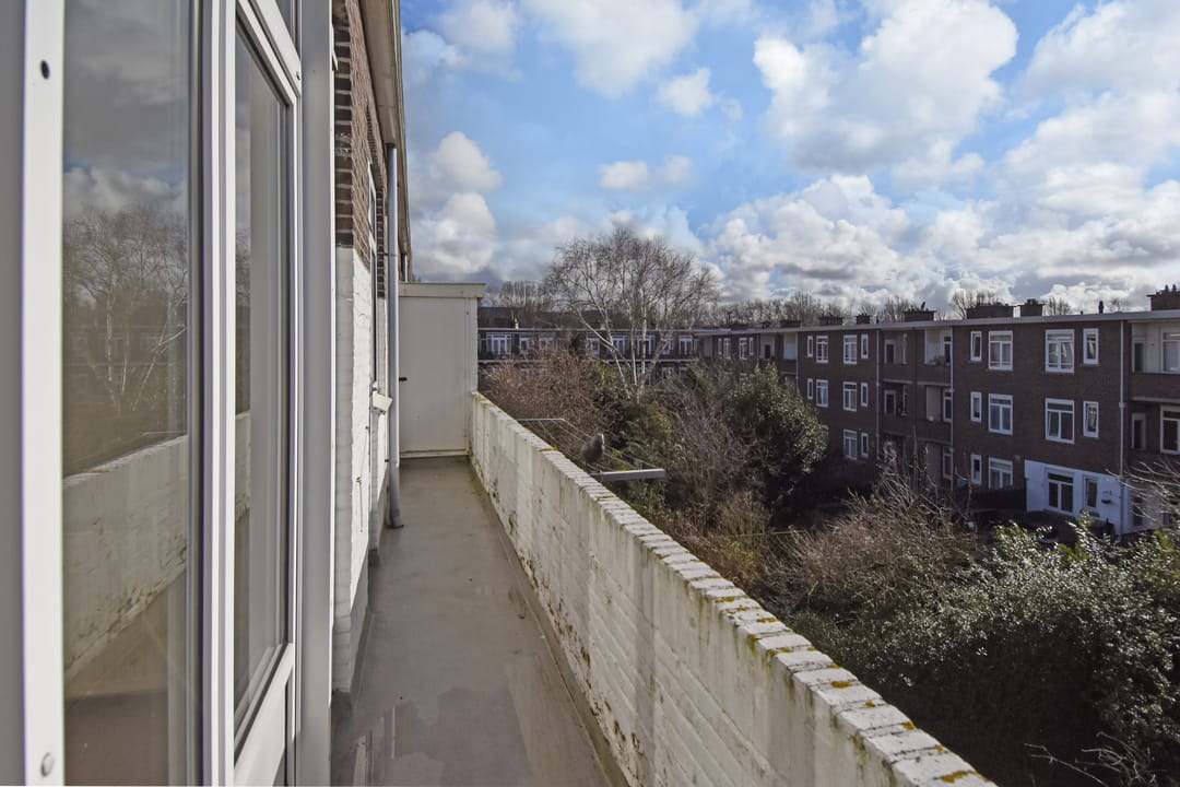 Foto 28 van Carel Reinierszkade 155