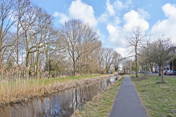 Foto 30 van Carel Reinierszkade 155