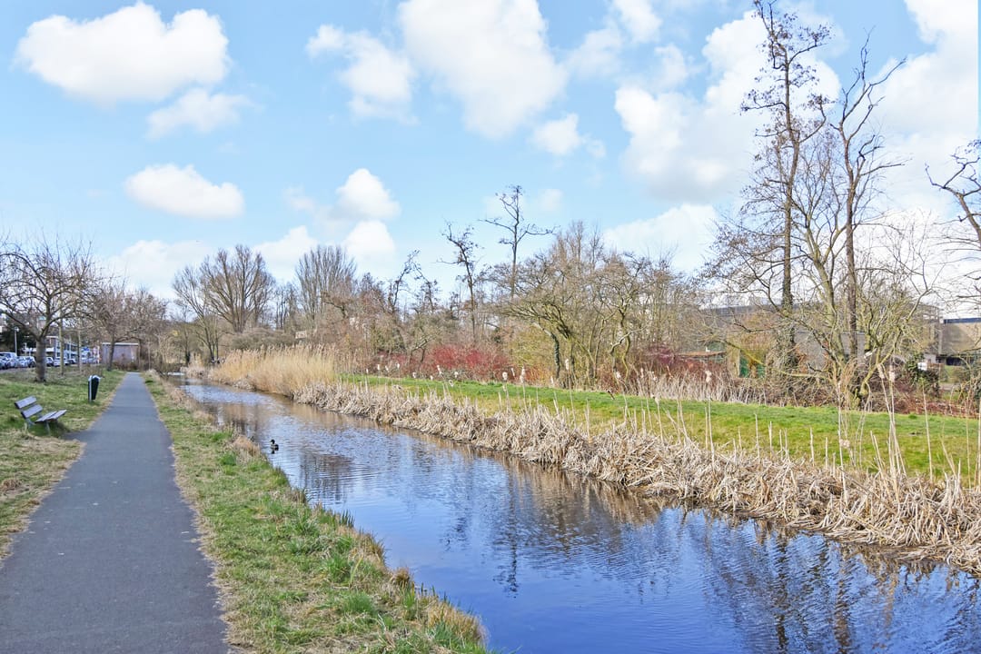 Foto 31 van Carel Reinierszkade 155