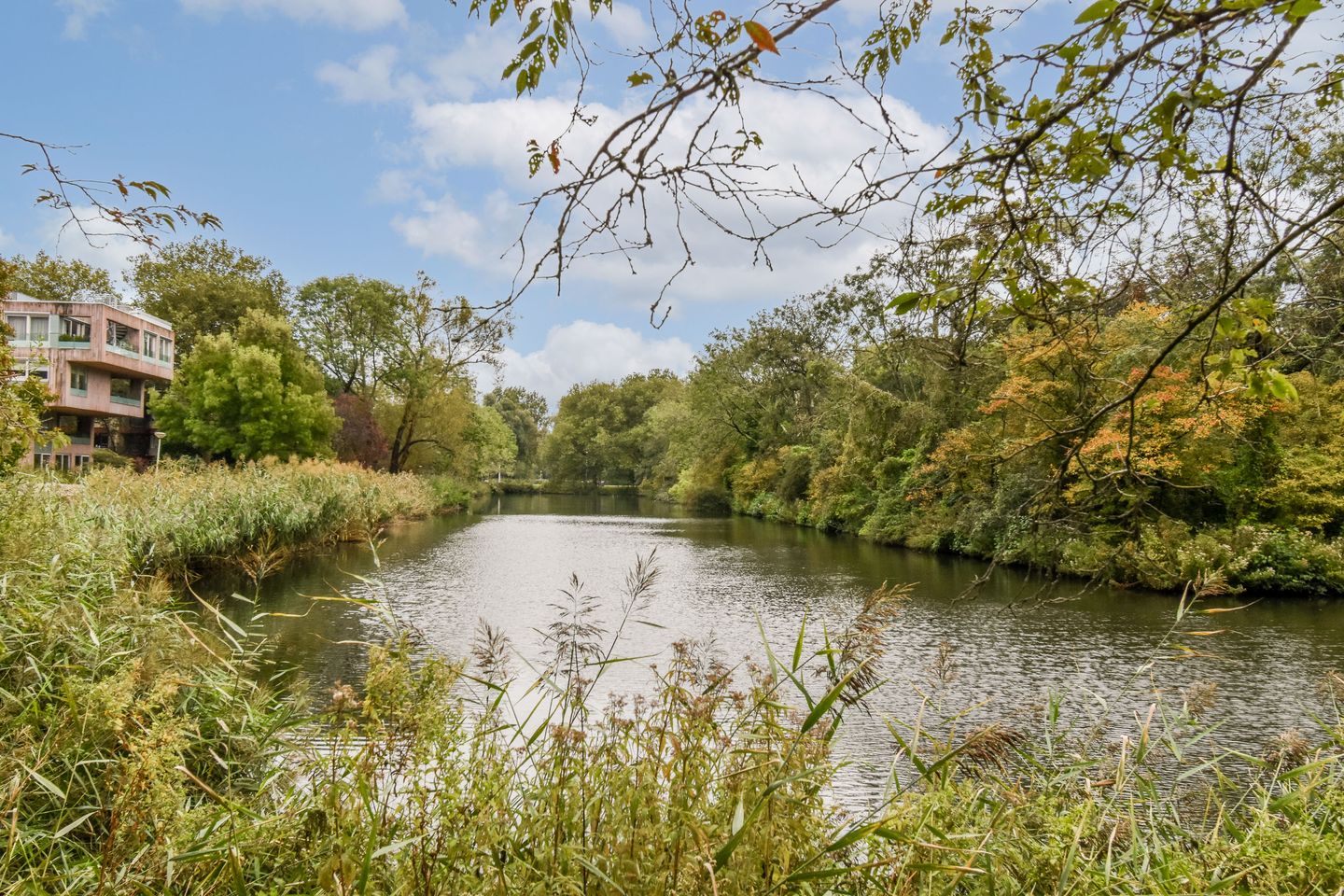 Photo 40 of Willem van Weldammelaan 131