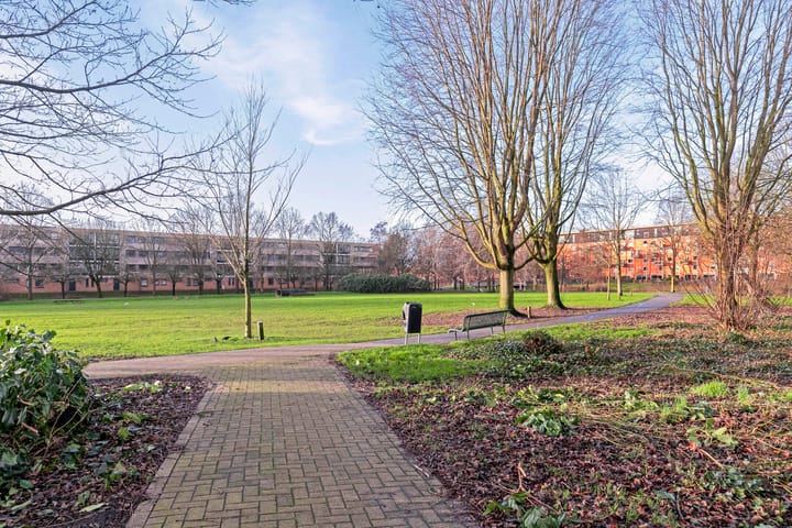 Foto 19 van Contrabasweg 111