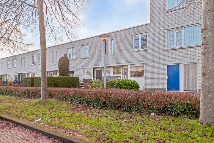 Foto 21 van Contrabasweg 111