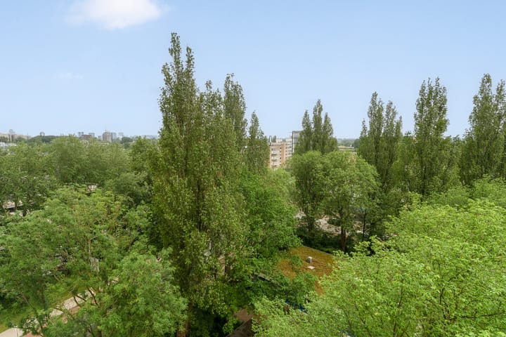 Foto 14 van Westelijk Halfrond 465