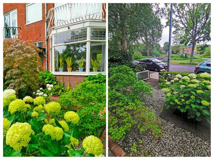 Foto 4 van Van Baerlestraat 30