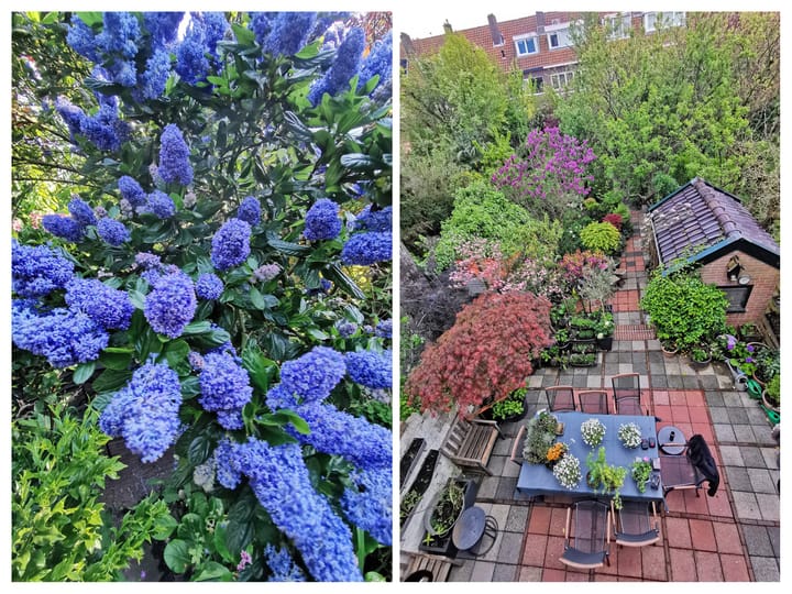 Foto 48 van Van Baerlestraat 30