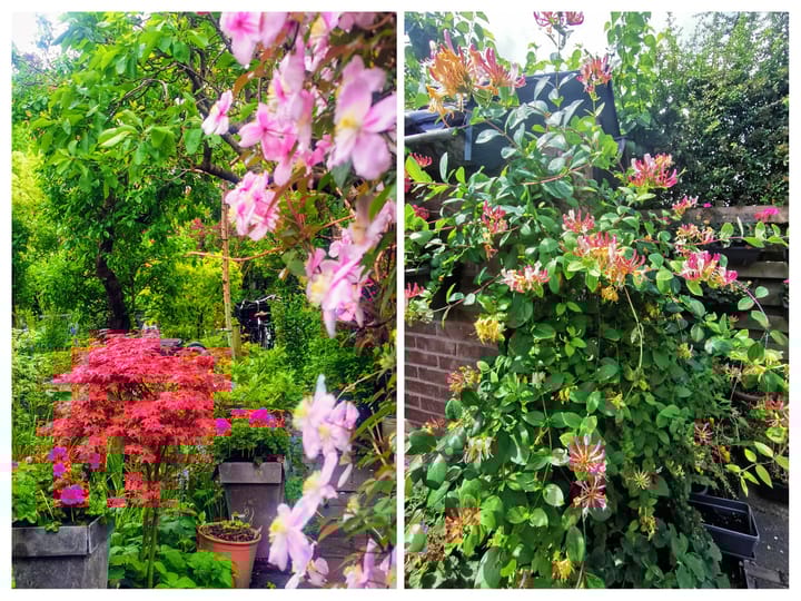 Foto 47 van Van Baerlestraat 30