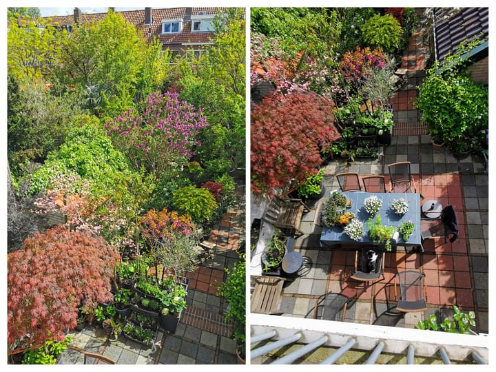 Foto 49 van Van Baerlestraat 30