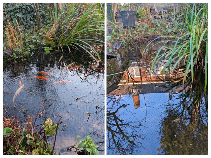 Foto 53 van Van Baerlestraat 30