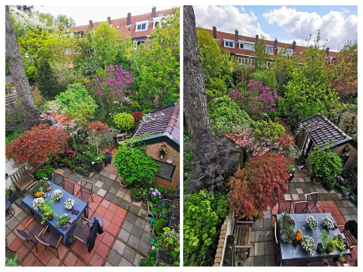 Foto 50 van Van Baerlestraat 30