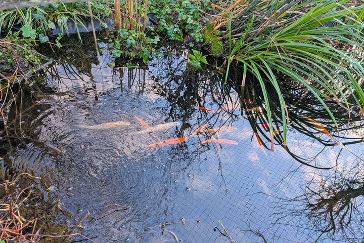 Foto 54 van Van Baerlestraat 30