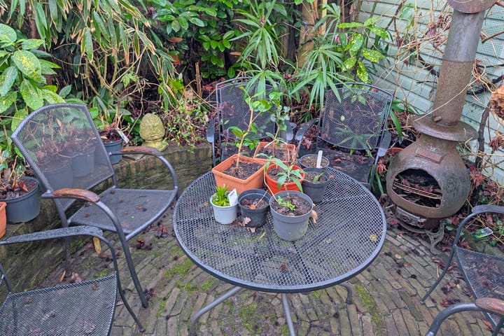 Foto 55 van Van Baerlestraat 30