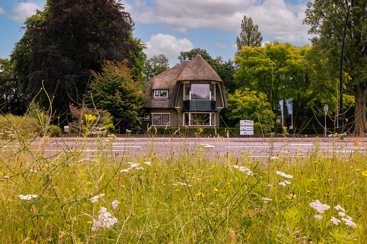 Foto 42 van Oranjelaan 79