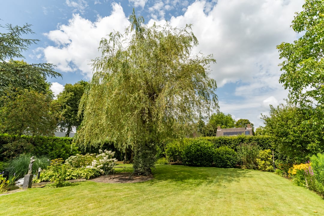 Foto 56 van Hoogemierdseweg 4