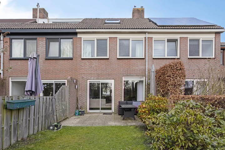 Foto 29 van Hoefblad 58