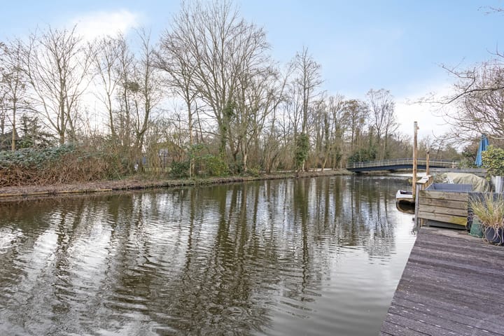 Foto 30 van Hoefblad 58