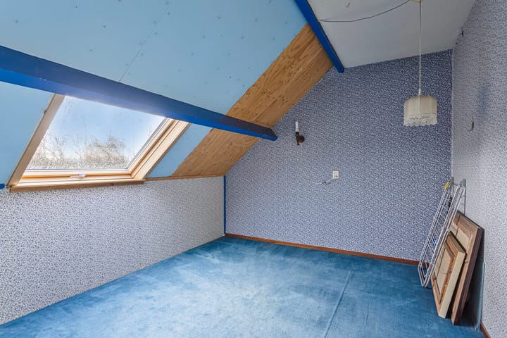 Foto 27 van Hoefblad 58