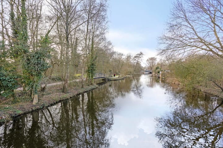 Foto 31 van Hoefblad 58