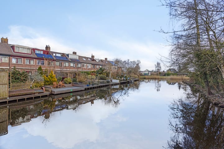 Foto 32 van Hoefblad 58