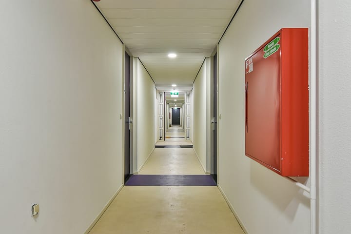 Photo 13 of Rottumeroog 202