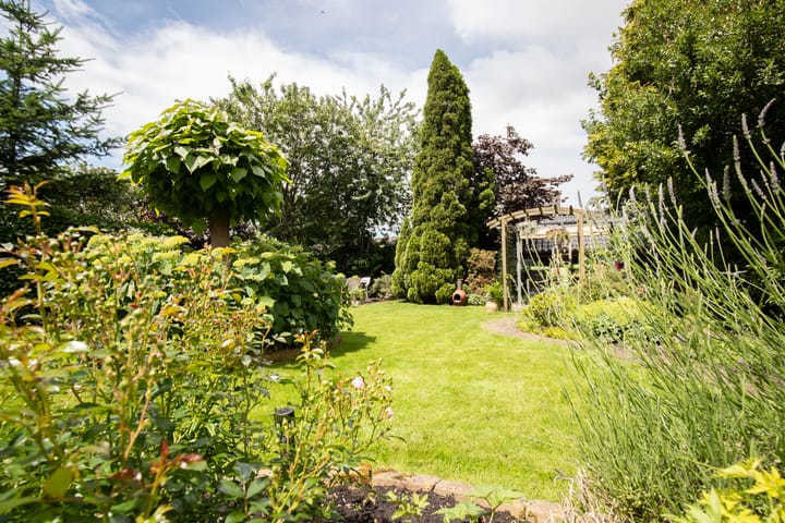 Foto 22 van J. van Raesfeldstraat 5