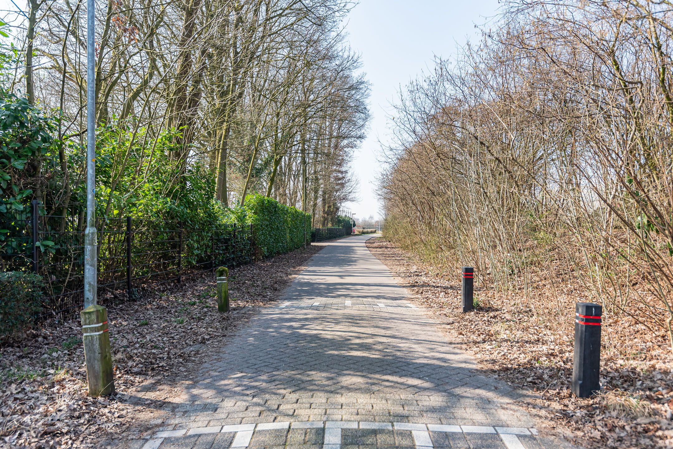 Photo 42 of Buizerdweg 17