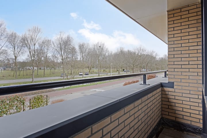 Photo 24 of Sellingerbos 6