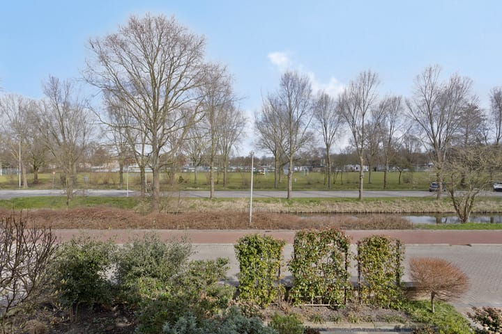 Photo 25 of Sellingerbos 6