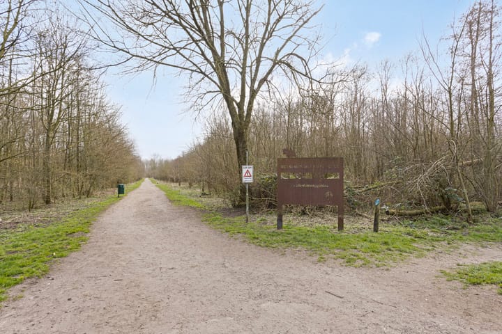 Photo 42 of Sellingerbos 6