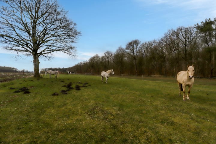 Foto 6 van Langenbergseweg 10