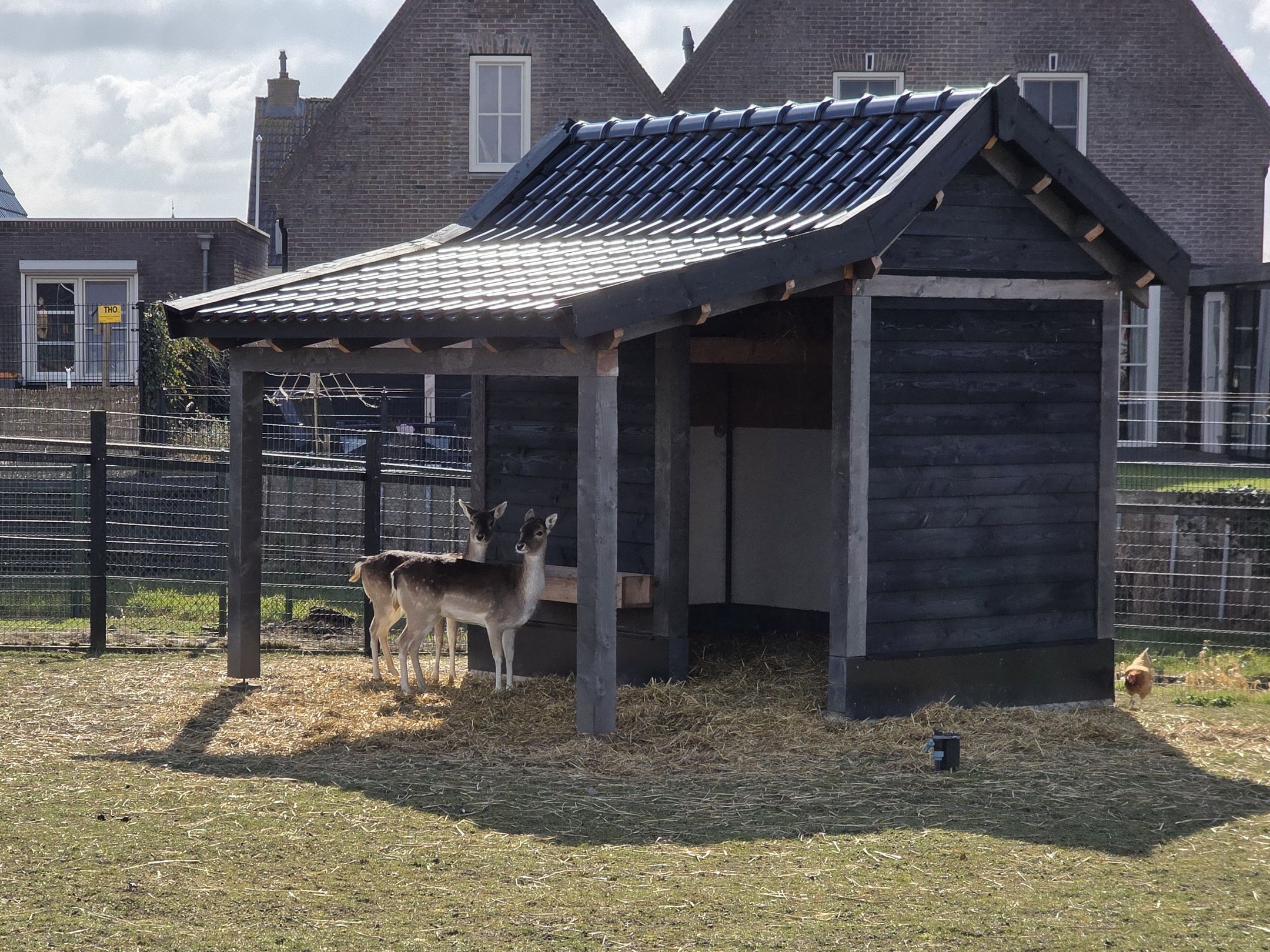 Foto 36 van Kerkstraat 4