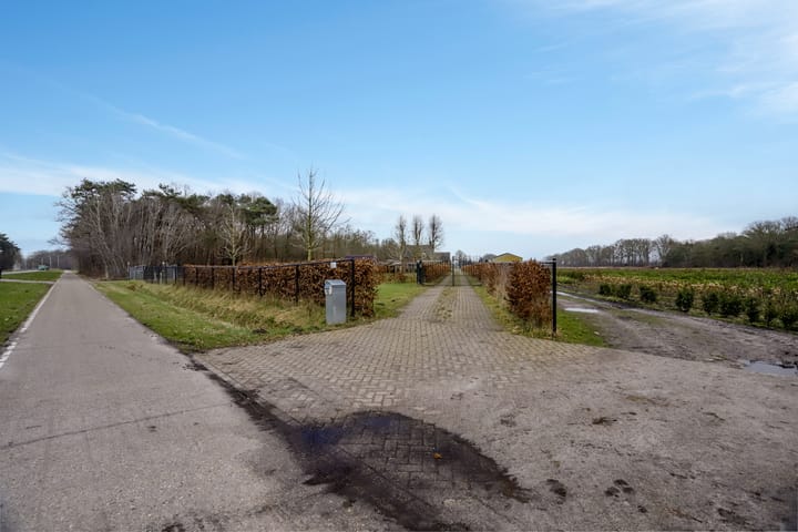 Foto 65 van Langenbergseweg 10