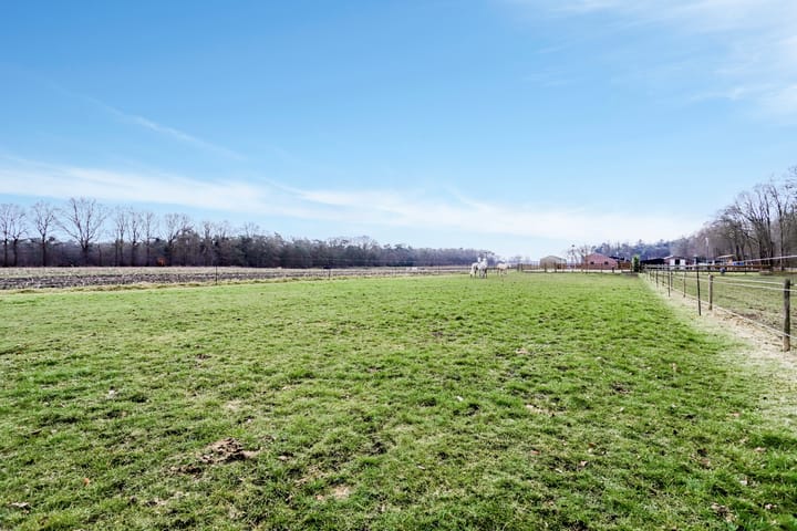 Foto 60 van Langenbergseweg 10