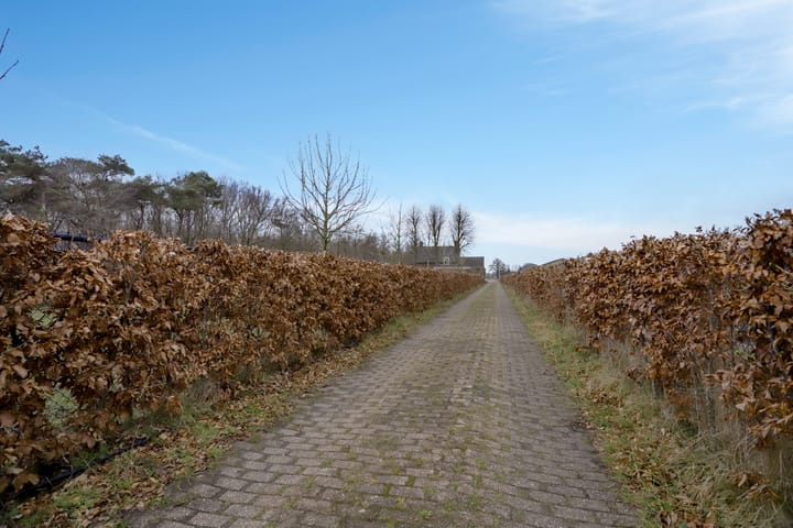 Foto 68 van Langenbergseweg 10